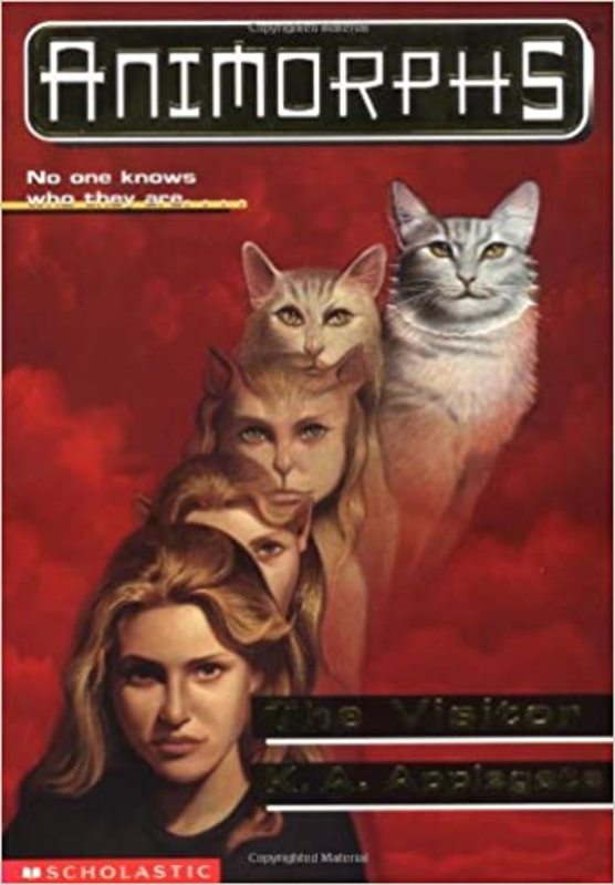 Book cover for "The Visitor" by Katherine KA Applegate