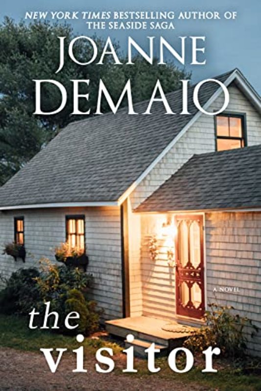 Book cover for "The Visitor" by Joanne DeMaio