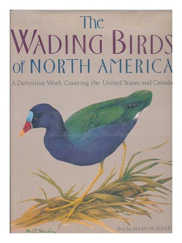 Book cover for "The Wading Birds of North America" by Allan W Eckert