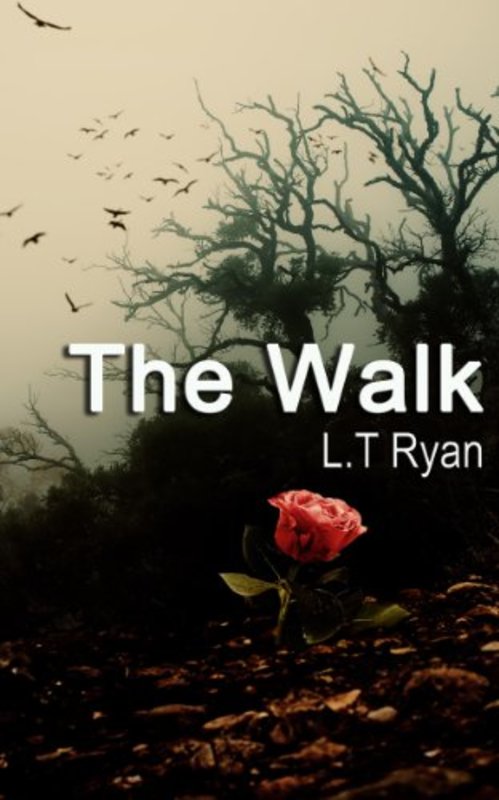 Book cover for "The Walk" by LT Ryan