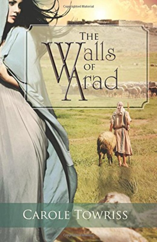 Book cover for "The Walls of Arad" by Carole Towriss