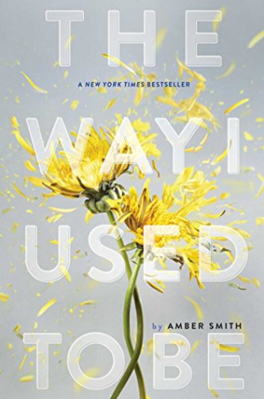Book cover for "The Way I Used to Be" by Amber Smith