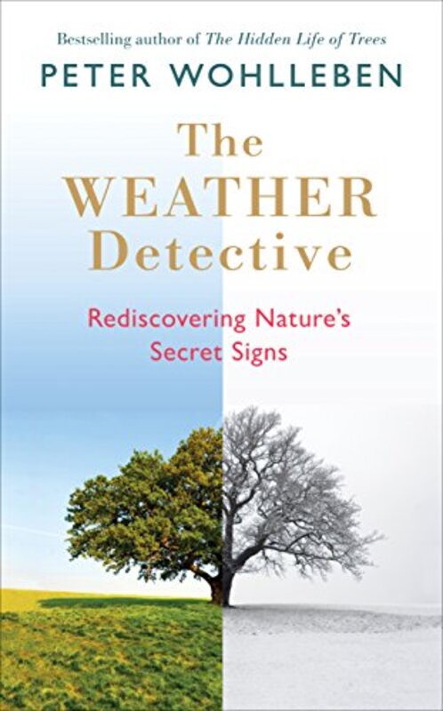Book cover for "The Weather Detective" by Peter Wohlleben