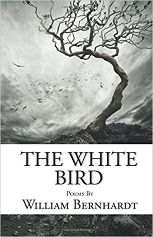 Book cover for "The White Bird" by William Bernhardt