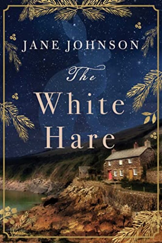 Jane Johnson book cover