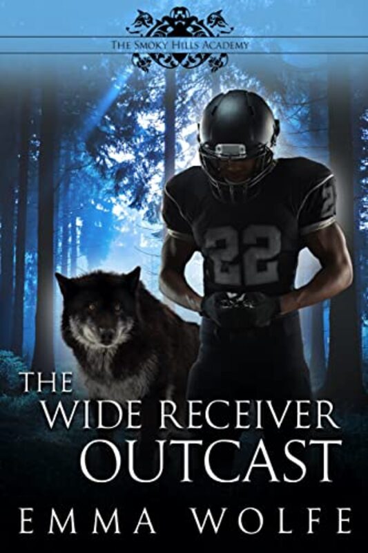 Book cover for "The Wide Receiver Outcast" by Anne Marie Meyer