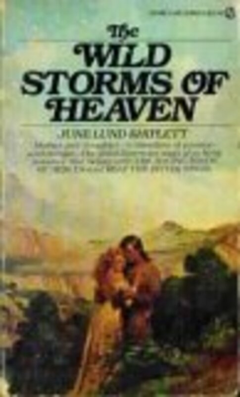 Book cover for "The Wild Storms of Heaven" by June Lund Shiplett