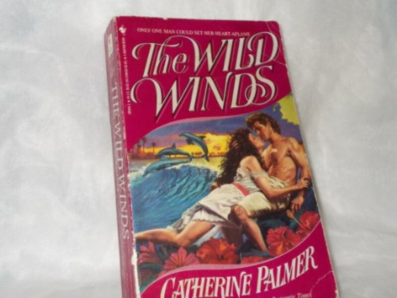 Book cover for "The Wild Winds" by Catherine Palmer