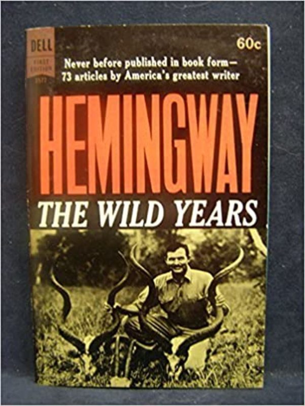 Book cover for "The Wild Years"
