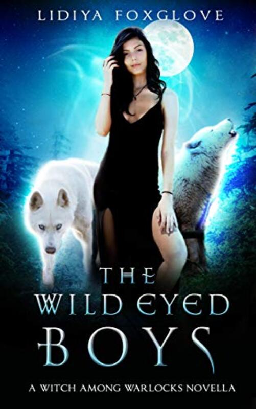 Book cover for "The Wild-Eyed Boys" by Lidiya Foxglove