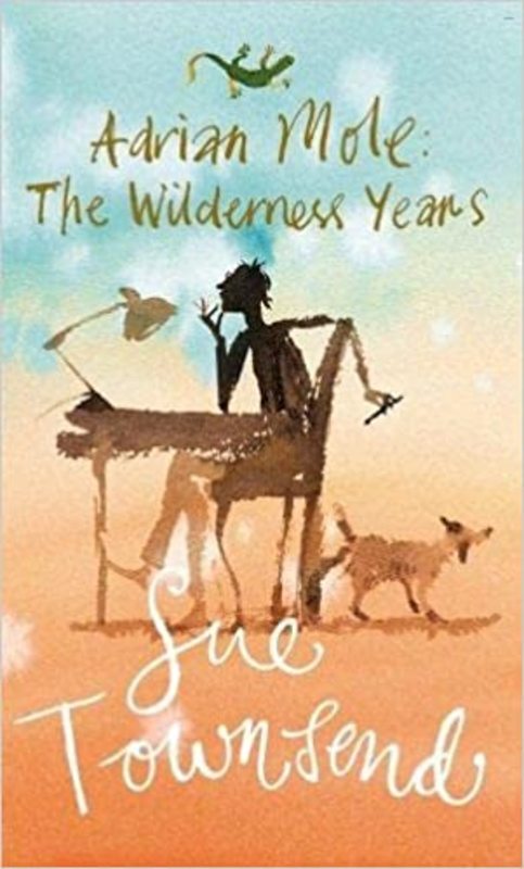 Book cover for "The Wilderness Years" by Sue Townsend