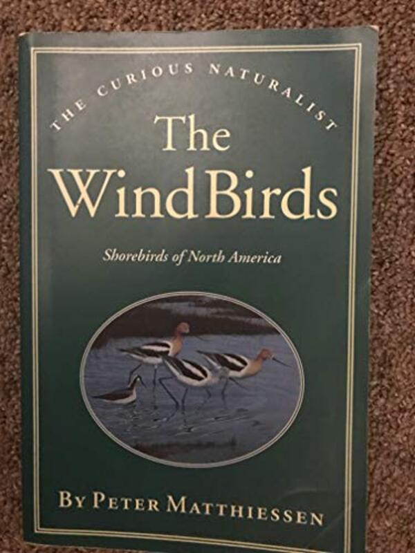 Book cover for "The Wind Birds" by Peter Matthiessen