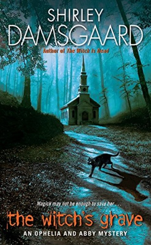 Shirley Damsgaard book cover