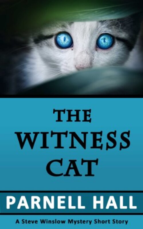 Steve Winslow book cover