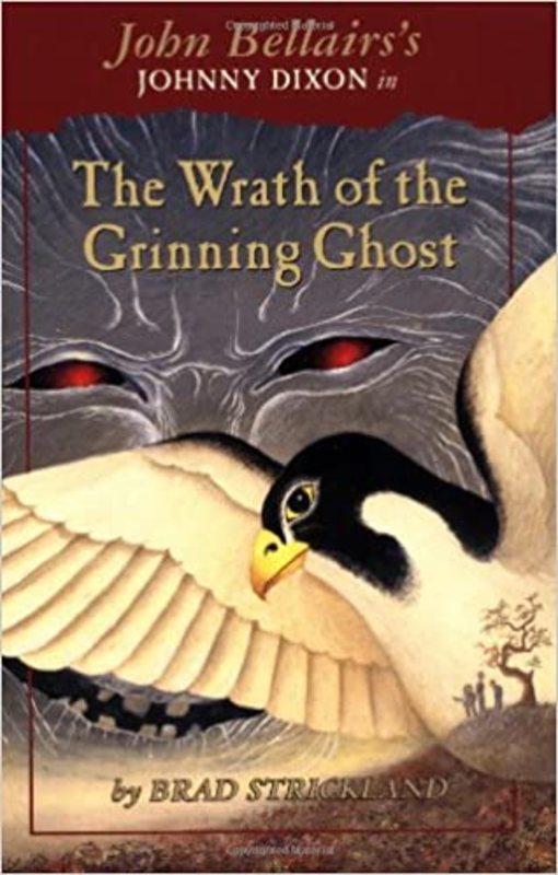 Johnny Dixon book cover