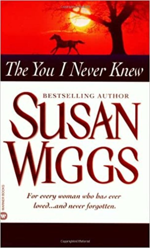 Book cover for "The You I Never Knew" by Susan Wiggs