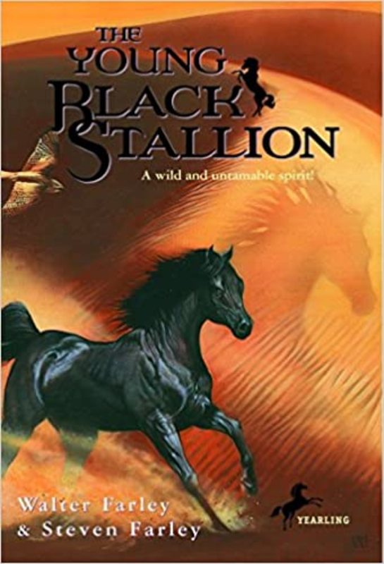 Black Stallion book cover
