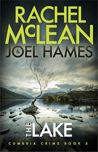 Book cover for "The Lake" by Rachel McLean
