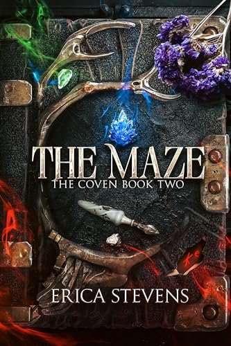 Book cover for "The Maze" by Brenda K Davies