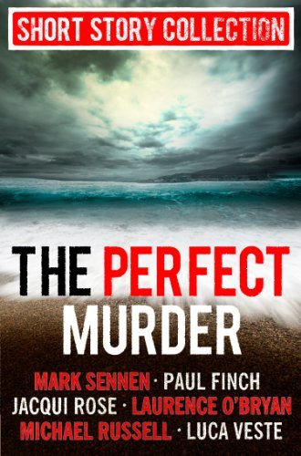 Book cover for "The Perfect Murder" by Paul Finch