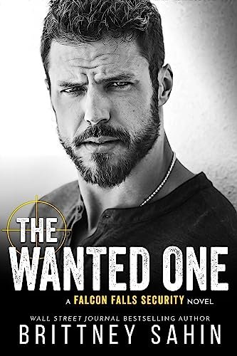 Book cover for "The Wanted One" by Brittney Sahin