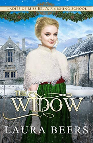 Book cover for "The Widow" by Laura Beers