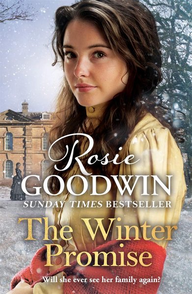Book cover for "The Winter Promise" by Rosie Goodwin