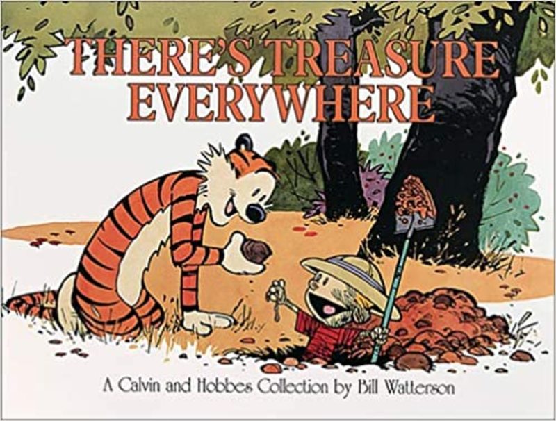 Book cover for "There's Treasure Everywhere" by Bill Watterson