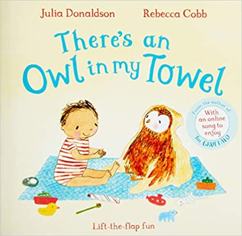 Book cover for "There's an Owl in My Towel" by Julia Donaldson