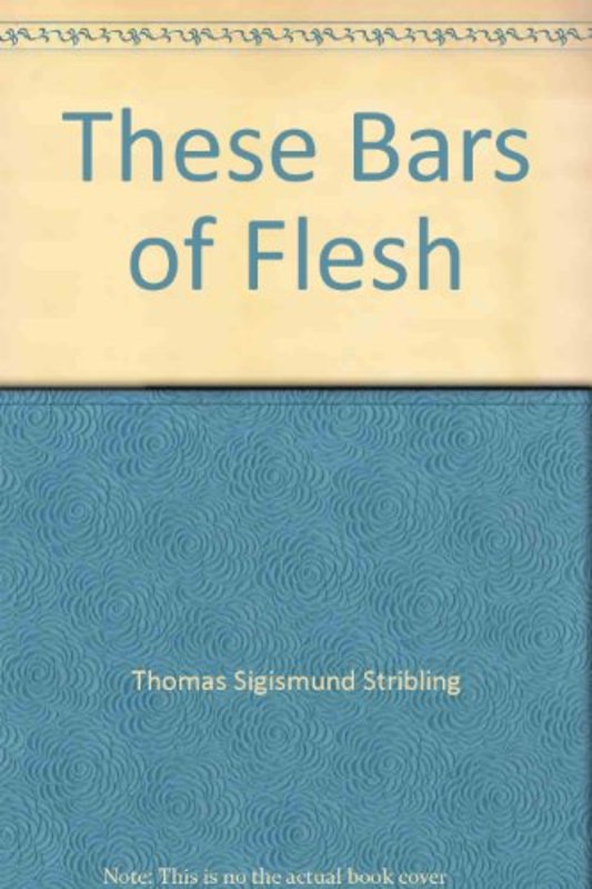 TS Stribling book cover