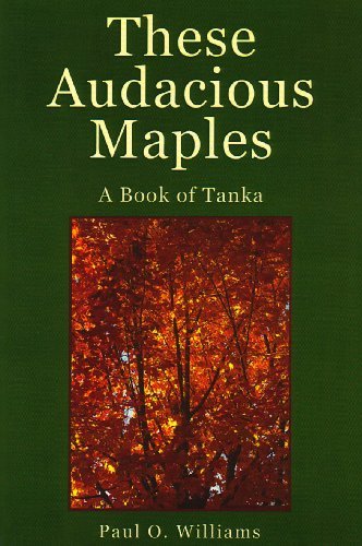 Paul O Williams book cover