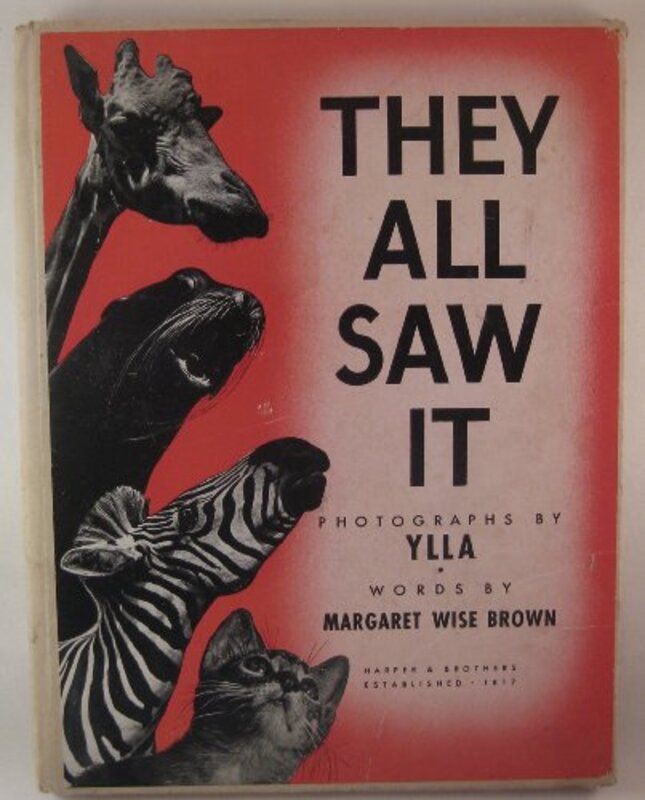 Book cover for "They All Saw It" by Margaret Wise Brown