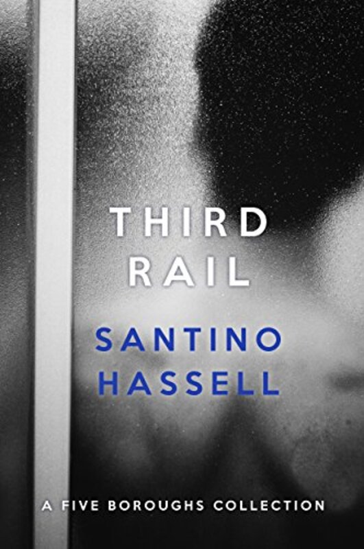 Santino Hassell book cover
