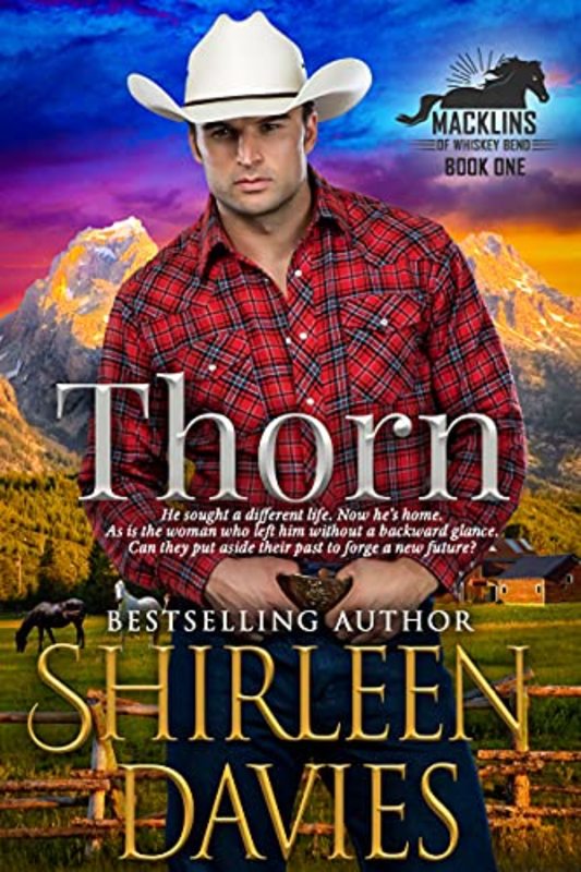 Book cover for "Thorn" by Shirleen Davies
