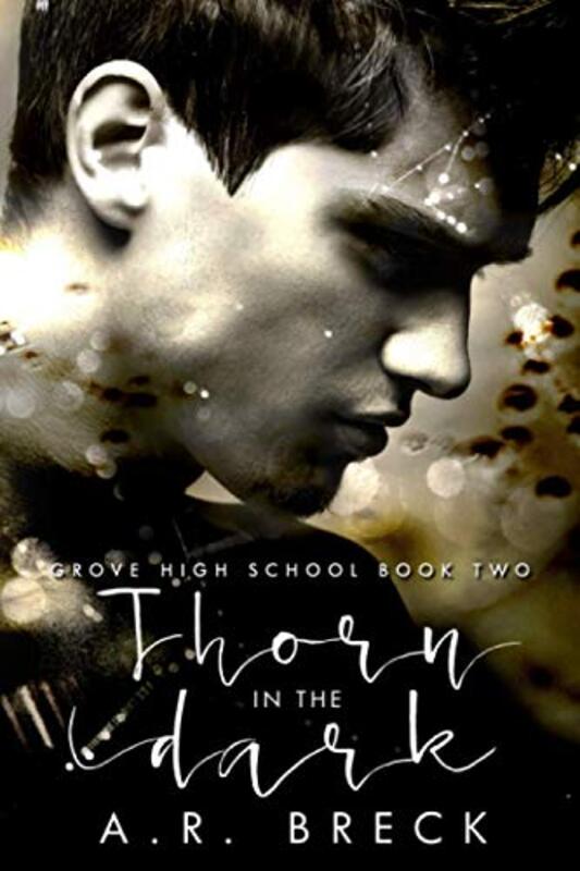 Book cover for "Thorn in the Dark" by AR Breck