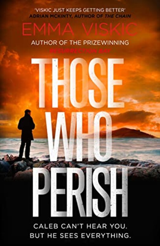 Emma Viskic book cover