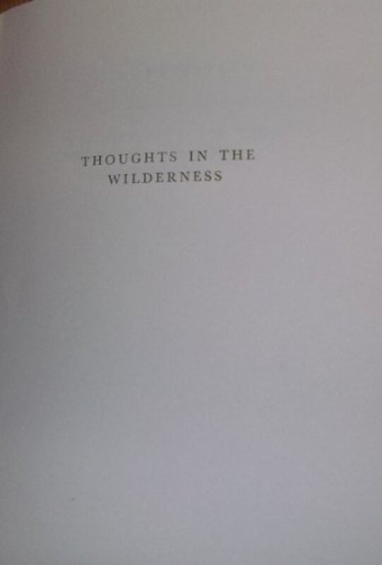 Book cover for "Thoughts in the Wilderness" by JB Priestley