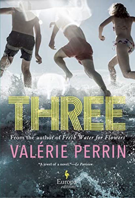Valerie Perrin book cover
