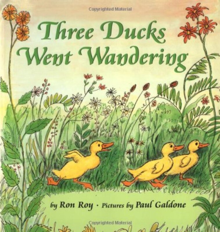 Book cover for "Three Ducks Went Wandering" by Ron Roy