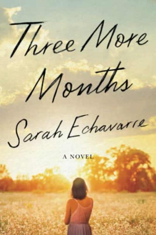 Book cover for "Three More Months" by Sarah Smith