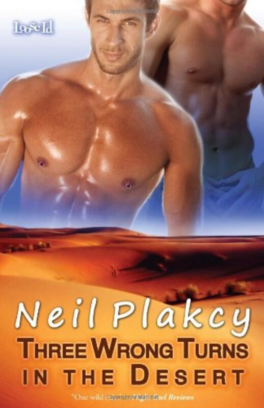 Book cover for "Three Wrong Turns in the Desert" by Neil Plakcy