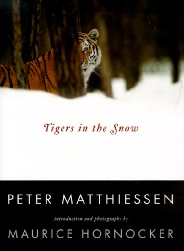 Book cover for "Tigers in the Snow" by Peter Matthiessen