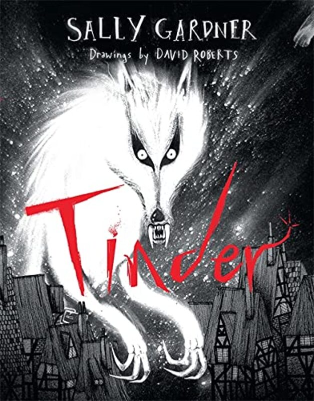 Book cover for "Tinder" by Sally Gardner