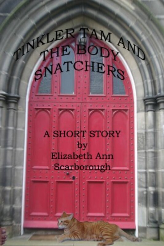 Book cover for "Tinkler Tam and the Body Snatchers" by Elizabeth Ann Scarborough
