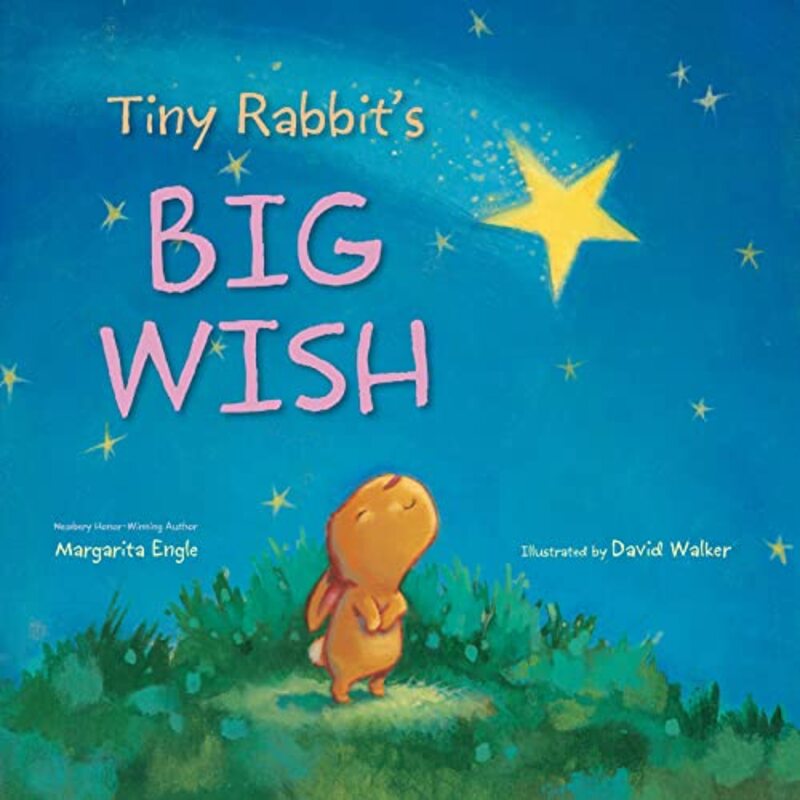 Book cover for "Tiny Rabbit's Big Wish" by Margarita Engle