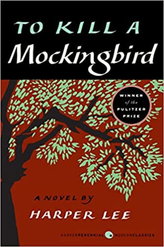 To Kill a Mockingbird summary cover