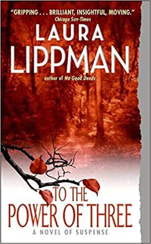 Book cover for "To the Power of Three" by Laura Lippman