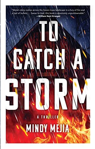 Mindy Mejia book cover