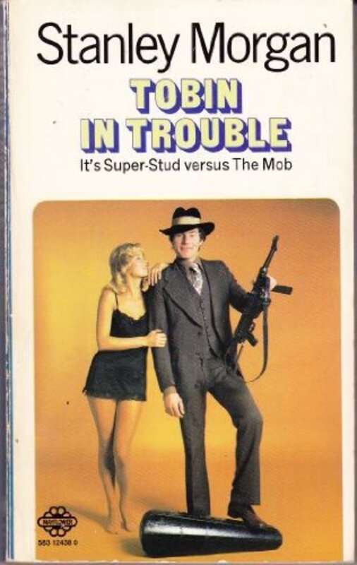 Book cover for "Tobin in Trouble" by Stanley Morgan