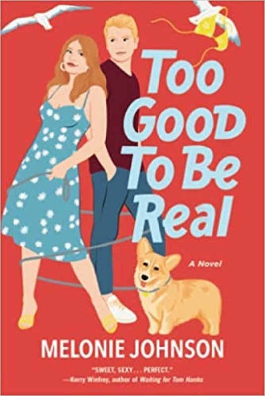Book cover for "Too Good to Be Real" by Melonie Johnson
